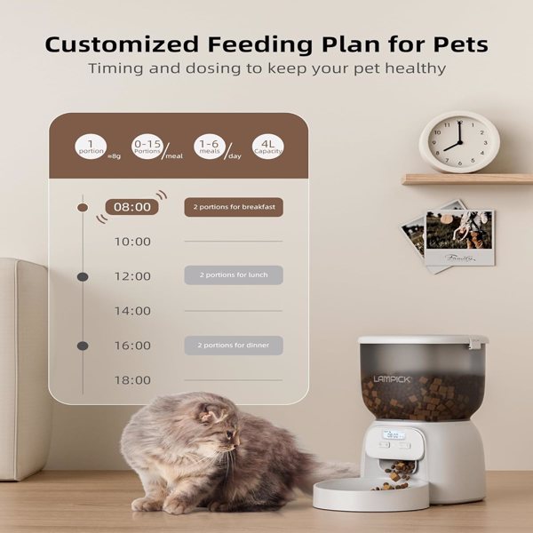 Automatic Cat Feeder