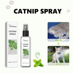 Catnip Spray, Relieve Cat Anxiety And Enhance Pet Mood