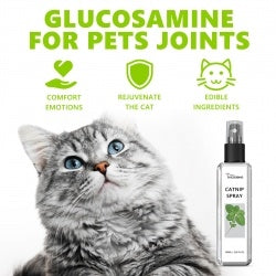 Catnip Spray, Relieve Cat Anxiety And Enhance Pet Mood