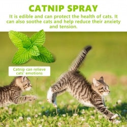 Catnip Spray, Relieve Cat Anxiety And Enhance Pet Mood